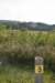dsc_4281_fs_small.jpg