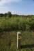 dsc_4286_fs_small.jpg