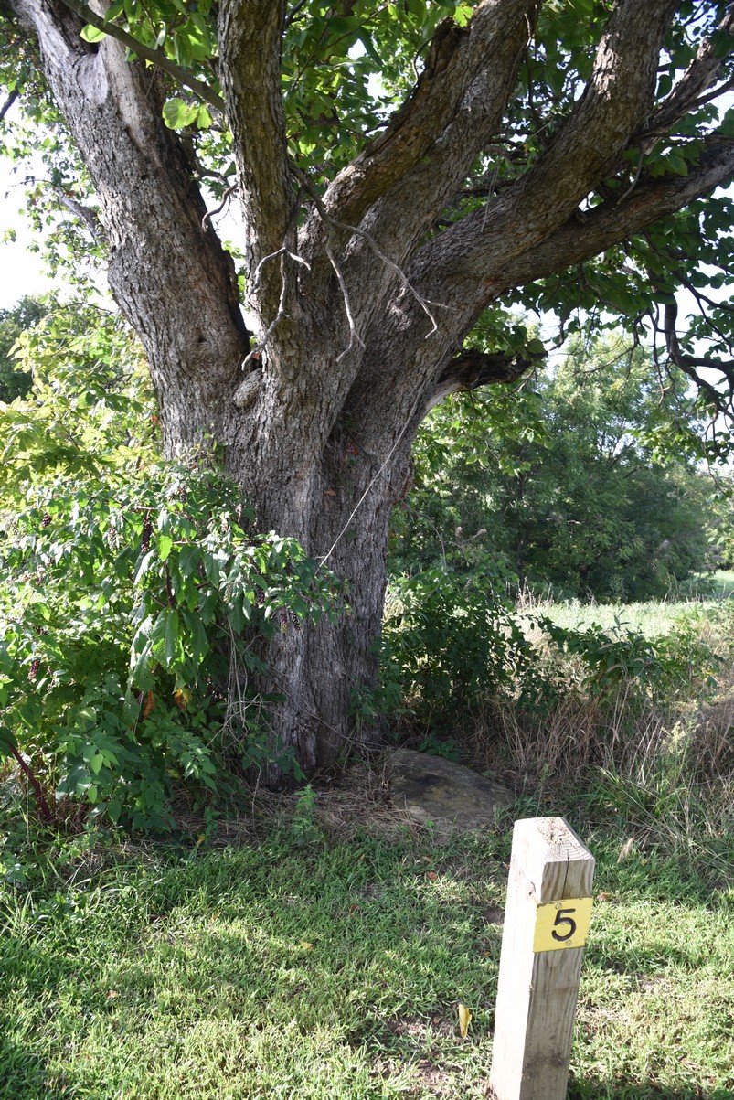 dsc_4291_fs.jpg