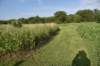 dsc_4315_fs_small.jpg