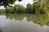 dsc_4443_fs_small.jpg