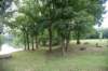 dsc_4504_fs_small.jpg