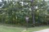 dsc_4770_fs_small.jpg