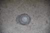 dsc_4771_fs_small.jpg