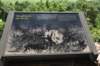 dsc_4778_fs_small.jpg