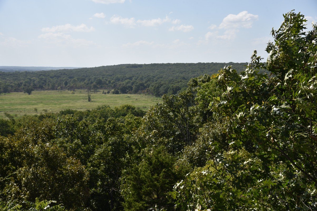 dsc_4789_fs.jpg