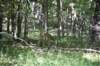 dsc_4794_fs_small.jpg