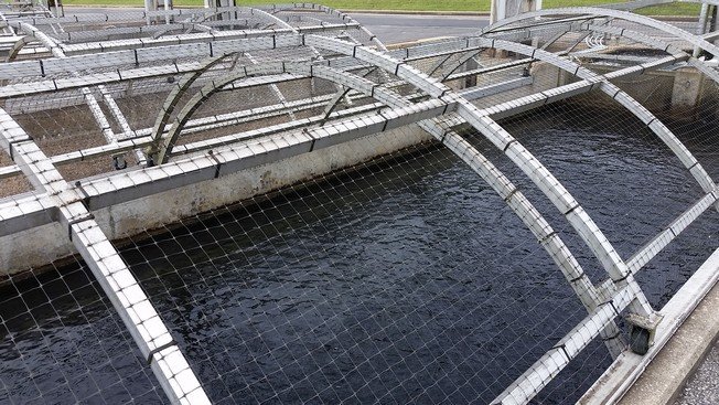 _bransonhatchery_still_fs.jpg