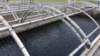 _bransonhatchery_still_fs_small.jpg
