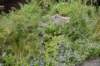 dsc_5109_fs_small.jpg
