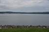 dsc_5158_fs_small.jpg