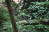 dsc_5254_fs_small.jpg