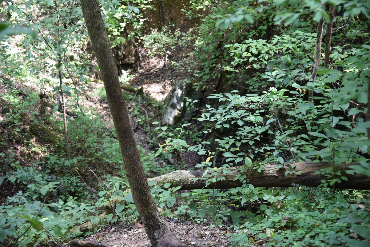 dsc_5255_fs.jpg