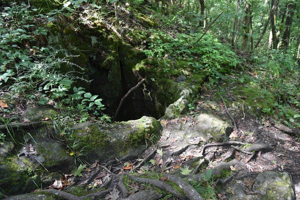 dsc_5266_fs.jpg