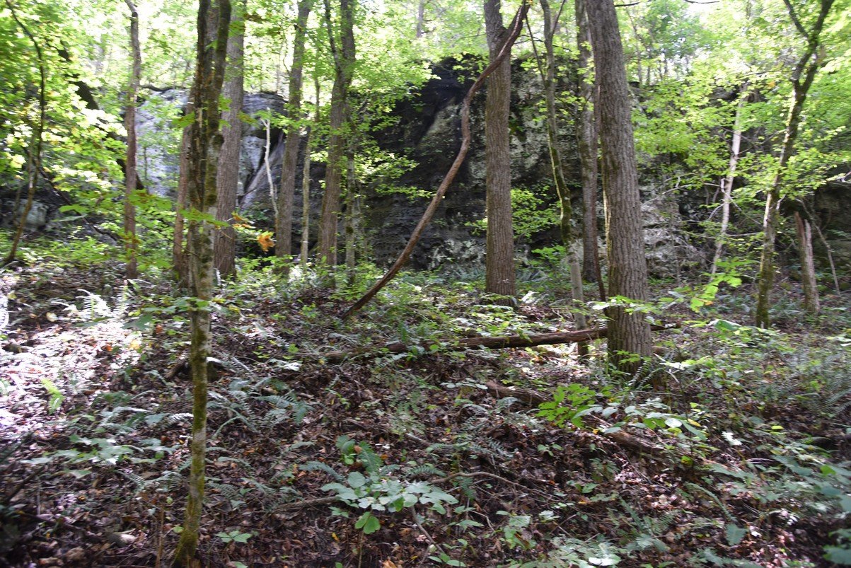 dsc_5269_fs.jpg
