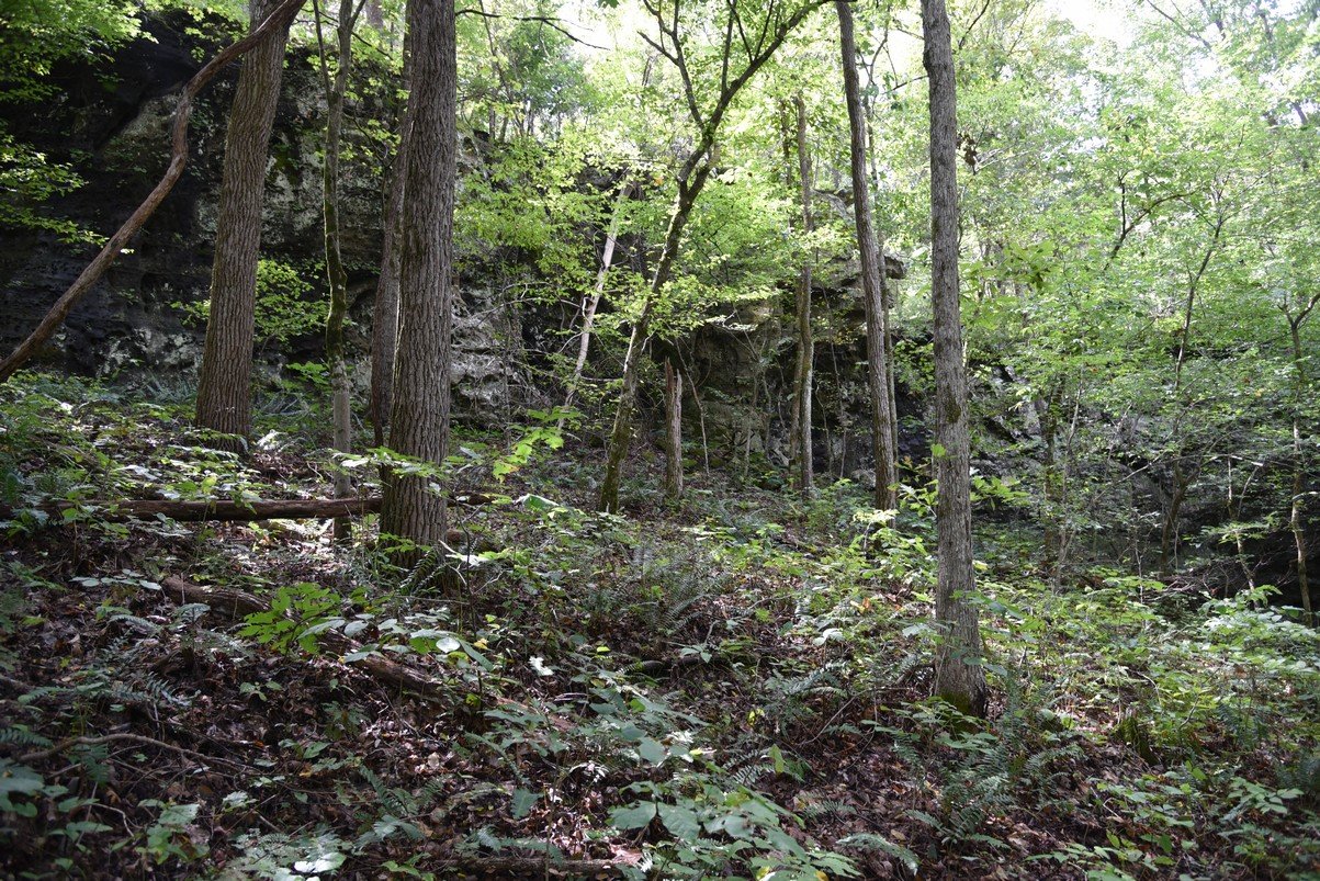 dsc_5270_fs.jpg