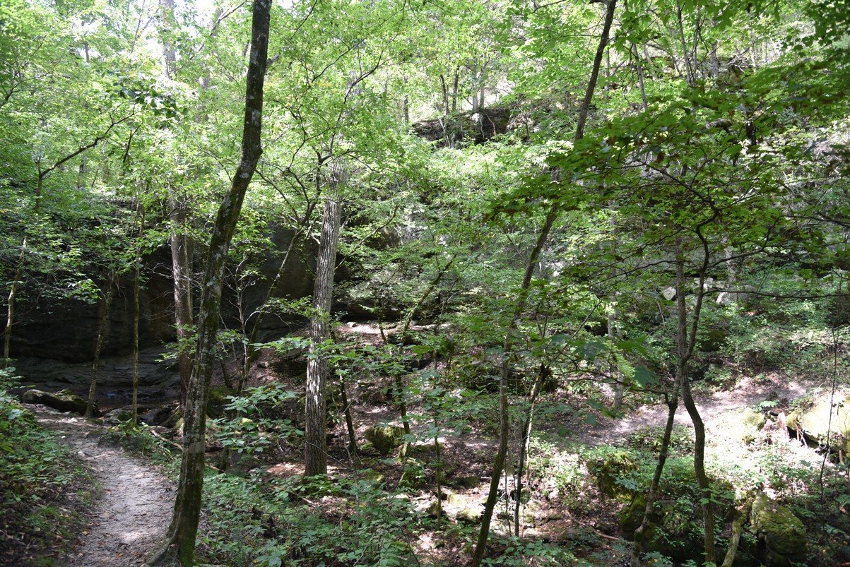 dsc_5273_fs.jpg