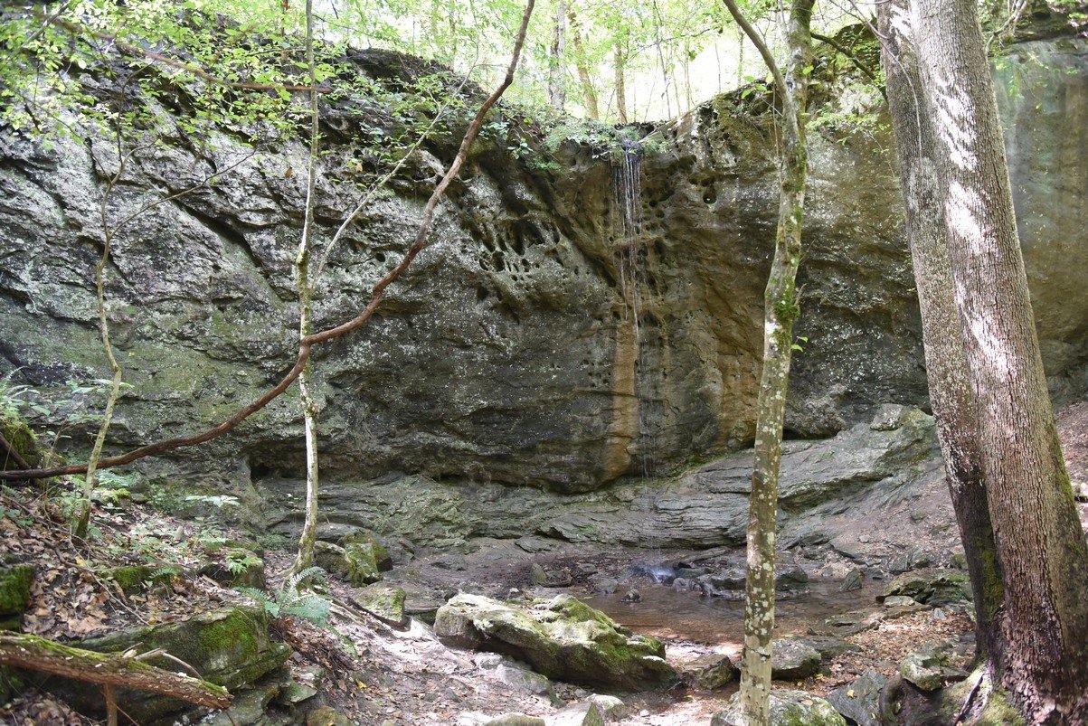 dsc_5276_fs.jpg