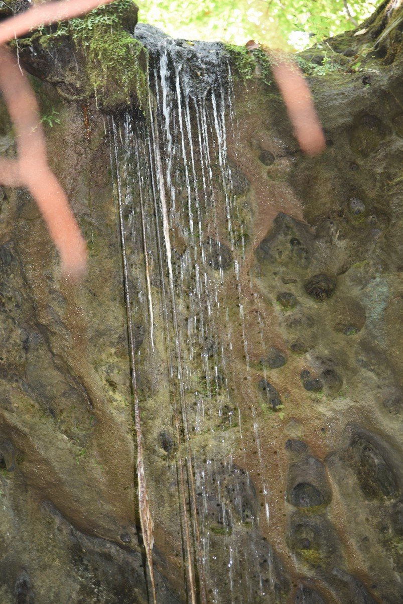 dsc_5279_fs.jpg