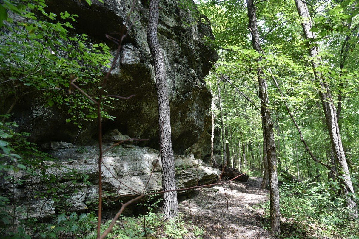 dsc_5280_fs.jpg