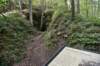 dsc_5282_fs_small.jpg