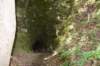 dsc_5283_fs_small.jpg