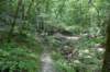 dsc_5284_fs_small.jpg