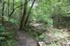 dsc_5285_fs_small.jpg
