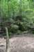 dsc_5286_fs_small.jpg