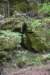 dsc_5287_fs_small.jpg