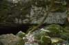 dsc_5293_fs_small.jpg