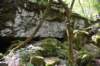 dsc_5294_fs_small.jpg