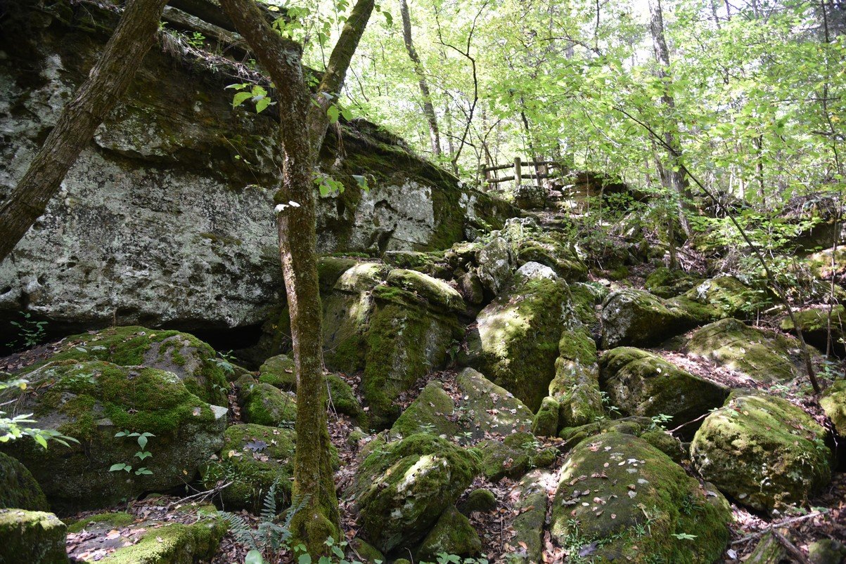 dsc_5295_fs.jpg
