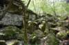 dsc_5295_fs_small.jpg