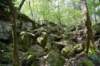 dsc_5296_fs_small.jpg