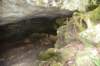 dsc_5297_fs_small.jpg