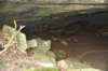 dsc_5298_fs_small.jpg