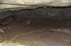 dsc_5299_fs_small.jpg