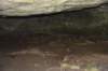 dsc_5300_fs_small.jpg