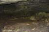 dsc_5301_fs_small.jpg