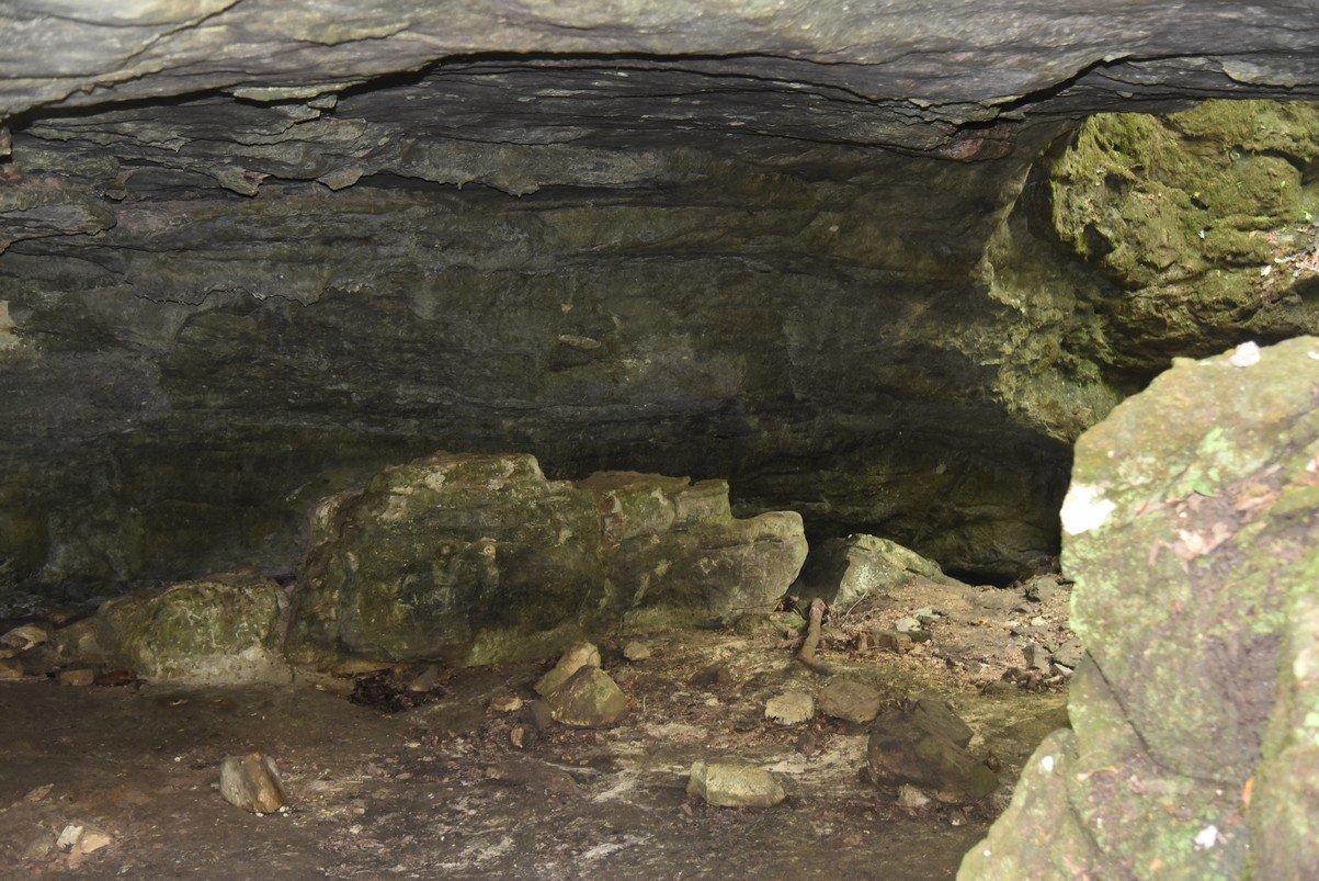 dsc_5302_fs.jpg