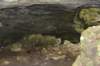 dsc_5302_fs_small.jpg