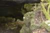 dsc_5303_fs_small.jpg