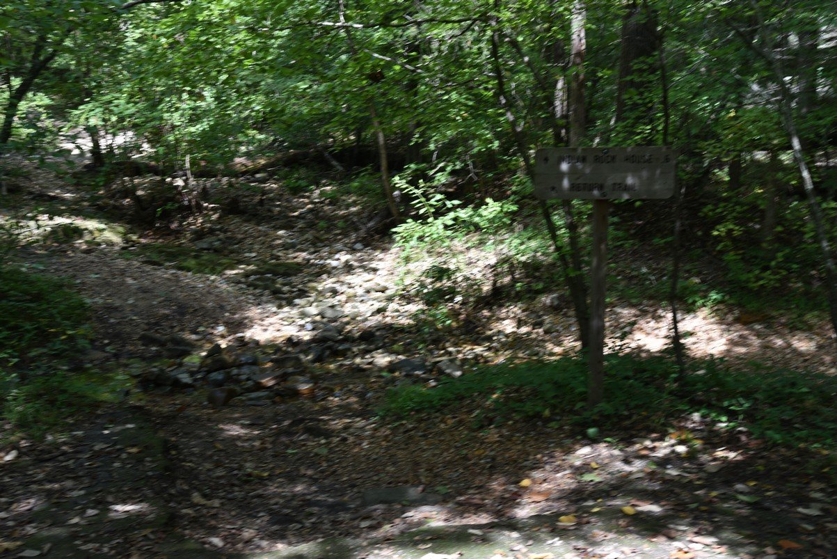 dsc_5304_fs.jpg