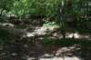 dsc_5304_fs_small.jpg