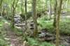 dsc_5305_fs_small.jpg