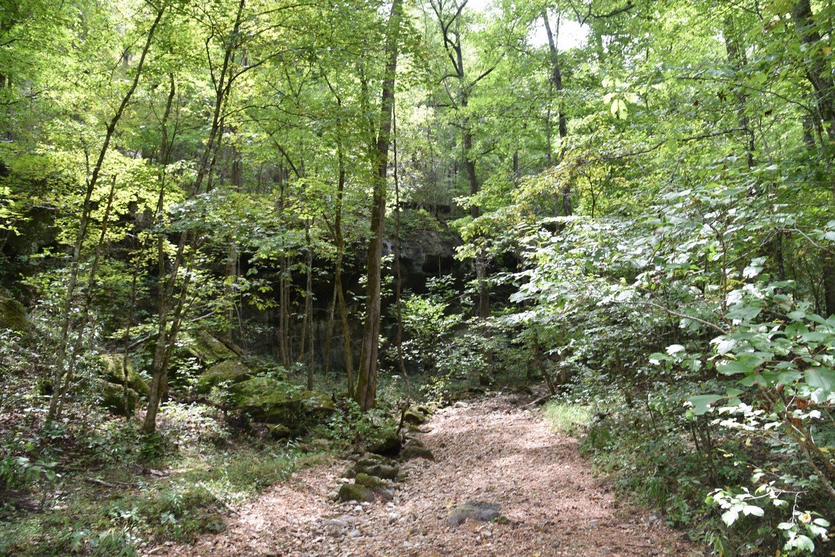 dsc_5307_fs.jpg