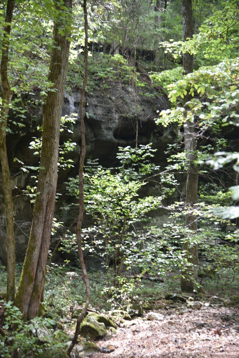 dsc_5308_fs.jpg