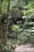 dsc_5308_fs_small.jpg