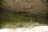 dsc_5313_fs_small.jpg